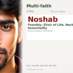 Noshab Name Meaning and Details