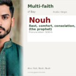 Nouh Name Meaning and Details