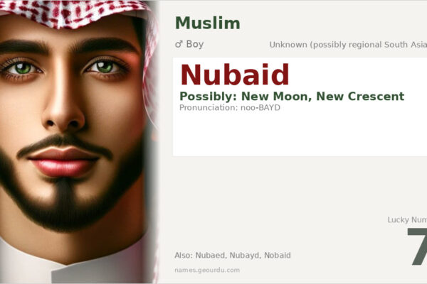 Nubaid Name Meaning — Origin, Gender & Details (2025)