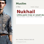 Nukhail Name Meaning and Details