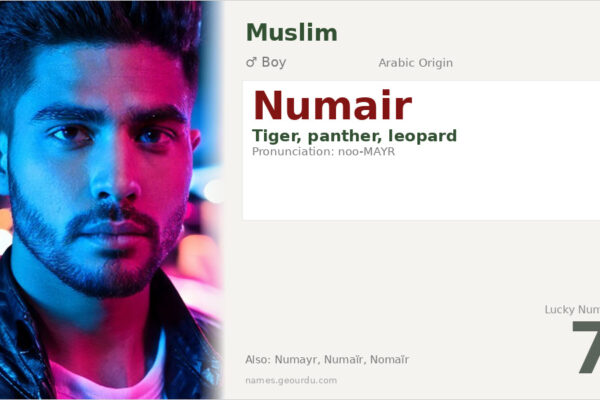 Numair Name Meaning — Arabic Origin, Tiger Symbolism & Details (2025)