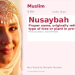 Nusaybah Name Meaning and Details