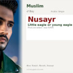 Nusayr Name Meaning and Details