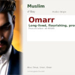Omarr Name Meaning and Details