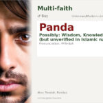 Panda Name Meaning and Details