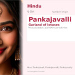 Pankajavalli Name Meaning and Details