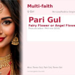 Pari Gul Name Meaning and Details