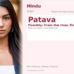 Patava Name Meaning and Details