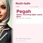 Pegah Name Meaning and Details