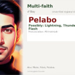 Pelabo Name Meaning and Details