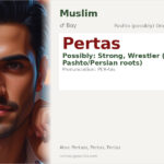 Pertas Name Meaning and Details