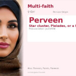 Perveen Name Meaning and Details