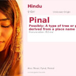 Pinal Name Meaning and Details