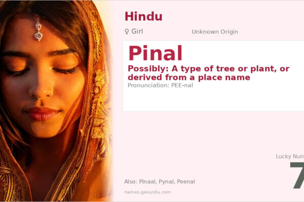 Pinal Name Meaning — Origin, Gender & Details (2025)