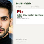 Pir Name Meaning and Details