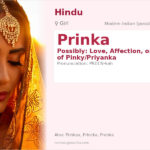 Prinka Name Meaning and Details