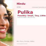 Pulika Name Meaning and Details