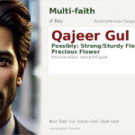 Qajeer Gul Name Meaning and Details