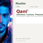 Qani' Name Meaning and Details