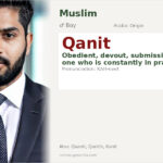 Qanit Name Meaning and Details