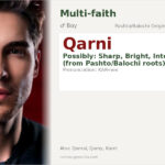 Qarni Name Meaning and Details
