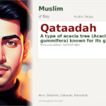 Qataadah Name Meaning and Details