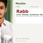 Rabb Name Meaning and Details