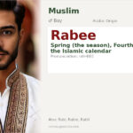 Rabee Name Meaning and Details