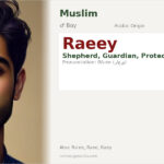 Raeey Name Meaning and Details