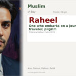 Raheel Name Meaning and Details