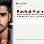 Roohul Amin Name Meaning and Details