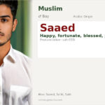 Saaed Name Meaning and Details