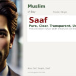 Saaf Name Meaning and Details
