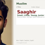 Saaghir Name Meaning and Details