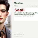 Saaii Name Meaning and Details