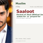 Saaloot Name Meaning and Details