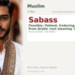 Sabass Name Meaning and Details