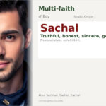 Sachal Name Meaning and Details