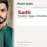 Sadii Name Meaning and Details