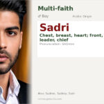 Sadri Name Meaning and Details