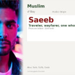Saeeb Name Meaning and Details