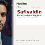 Safiyaldin Name Meaning and Details