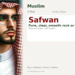 Safwan Name Meaning and Details