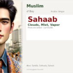 Sahaab Name Meaning and Details