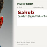 Sahub Name Meaning and Details