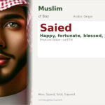 Saied Name Meaning and Details