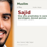 Sajid Name Meaning and Details
