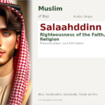 Salaahddinn Name Meaning and Details
