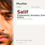 Salif Name Meaning and Details