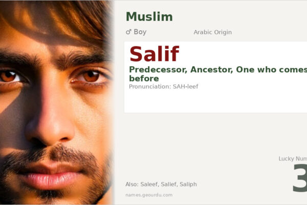 Salif Name Meaning — Arabic Origin, Boy’s Name & Cultural Significance (2025)